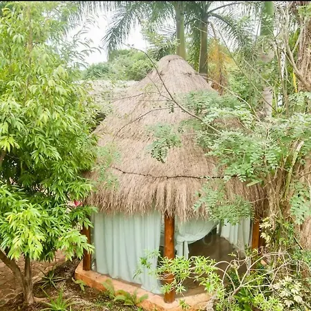 Oma Cancun - Holistic Healing Center